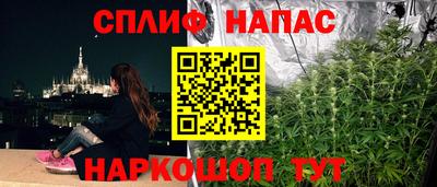 jwh Дубна