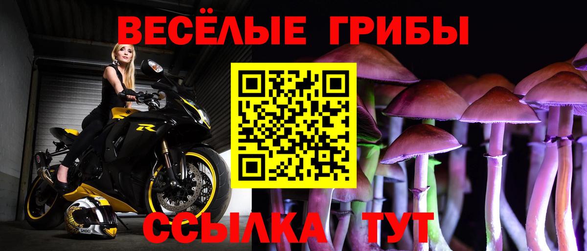 Камышин  Галлюциногенные грибы MAGIC MUSHROOMS  Вход с VPN 