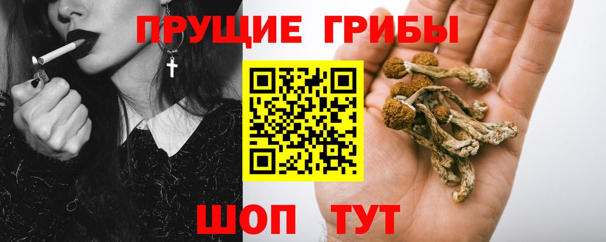 Псилоцибиновые грибы мицелий Камышин